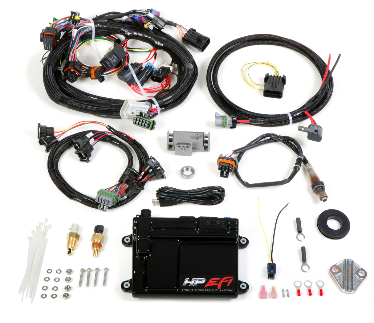 Holley 550-604 HP EFI ECU & Harness Kits