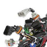 Holley 558-108 Ford 2V and 4V Modular Main Harness