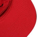 Holley 10230HOL Fuel Your Passion Hat