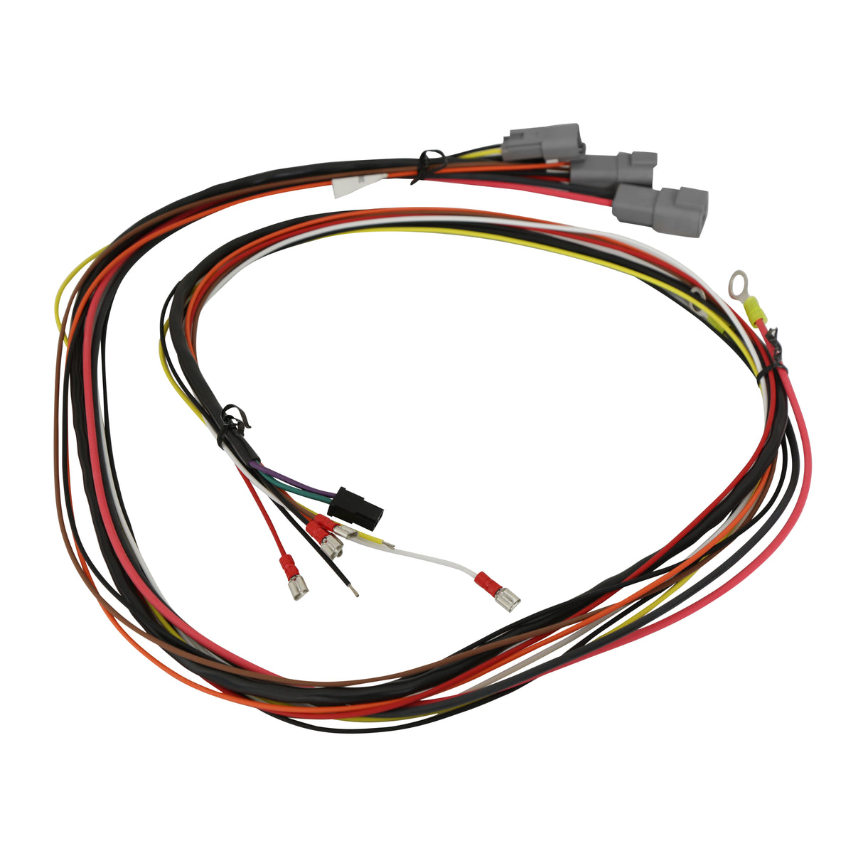 MSD 6 HVC, Professional Race with Fast Rev Limiter - 6631