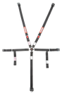 Racequip Youth Camlock 5 Point Racing Harness Set - 739009RQP
