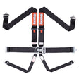Racequip Latch & Link 6 Point Harness Set - 712002RQP