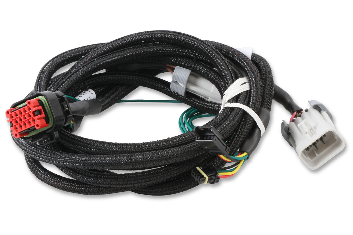 MSD EFI And LS Harness - Pro 600 - 80002