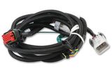 MSD EFI And LS Harness - Pro 600 - 80002
