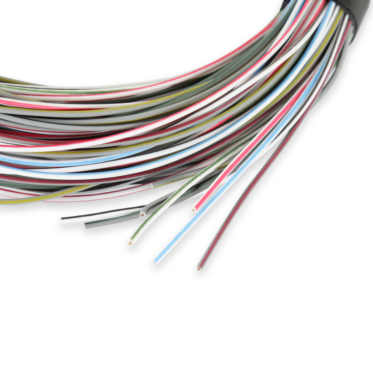 Holley 558-400 Connector J1A/B Input/Outputs Auxiliary Harness