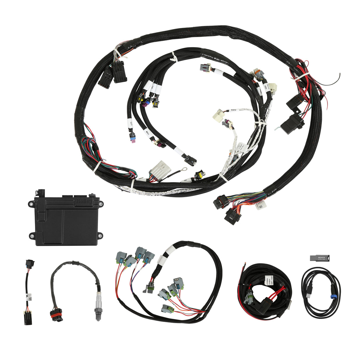 Holley 550-603 HP EFI ECU & Harness Kits