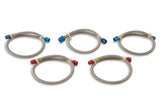 NOS Pro-Shot Fogger "Upgrade Kit"-Cheater Nitrous System,Dual 4500 Holley Flange - 02023NOS
