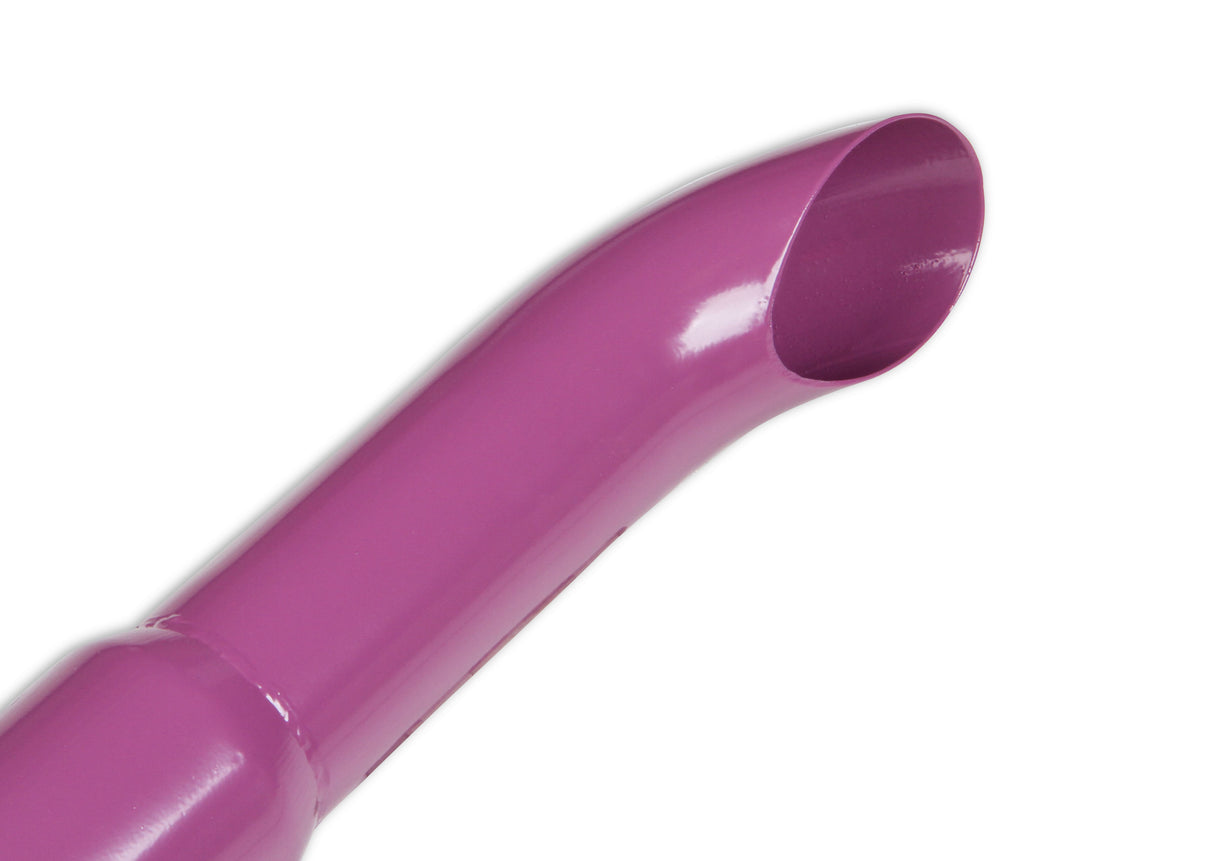 Flowtech Purple Hornies Glasspack - 50231FLT