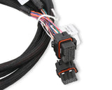 Holley 558-219 Injector Driver Harness