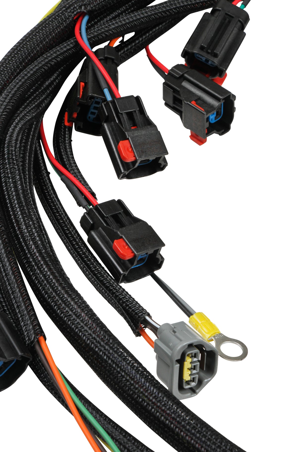 MSD 6-Hemi Harness 2003-2005 - 88863
