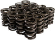 Comp Cams Dual Valve Springs with Damper - CO26924-16 CO26924-16