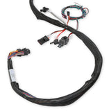 Holley 558-134 LS2/3/7+ (58x/4x) Engine Main Harness - Extended Length