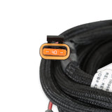Holley 550-602 HP EFI ECU & Harness Kits
