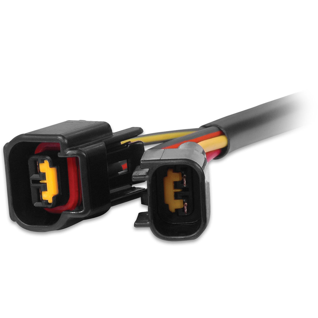 MSD DIS-4 to Ford 4.6L Modular Harness - 88813