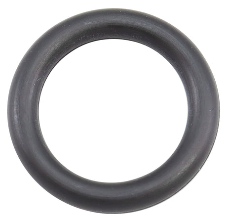 Enderle -6AN Check Valve O-Ring - ENA112 ENA112