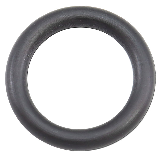 Enderle -6AN Check Valve O-Ring - ENA112 ENA112