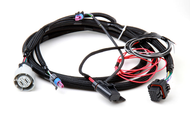 Holley 558-405 EFI Transmission Control Harness - For 1996-2008 GM 4L60E and 4L80E