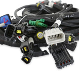 Holley 558-113 Ford Modular 2V and 4V Main Harness for use with Smart Coils