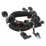 Holley 558-125 EFI Ford Coyote Ti-VCT Sub Harness (2013-2017)