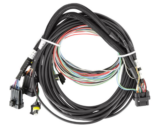 Holley 558-457 EFI Pro Dash Standalone Service Harness