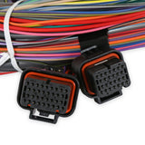 Holley 558-105 Unterminated Universal Main Harness