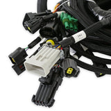 Holley 558-113 Ford Modular 2V and 4V Main Harness for use with Smart Coils