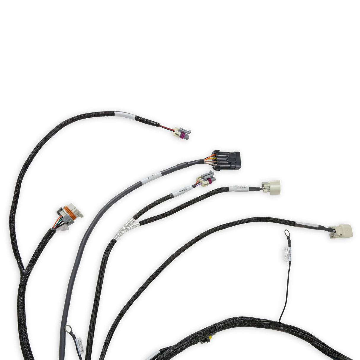 Holley 558-134 LS2/3/7+ (58x/4x) Engine Main Harness - Extended Length