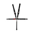 Simpson D3 Off-Road Recreational Harnesses - 3B33PIKX