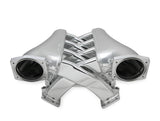 Holley 820241 Sniper EFI Fabricated Intake Manifold Dual Plenum 102mm LS1/2/6, Rail Kit - Slvr
