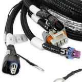 Holley 558-129 EFI Gen V LT Engine Main Harness