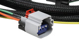 MSD 6-Hemi Harness 2003-2005 - 88863