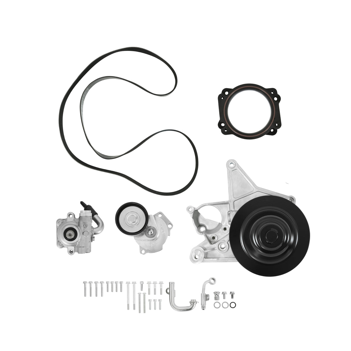 Holley 20-233 Power Steering Add-on System for LT5