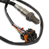 Holley 550-601 HP EFI ECU & Harness Kits