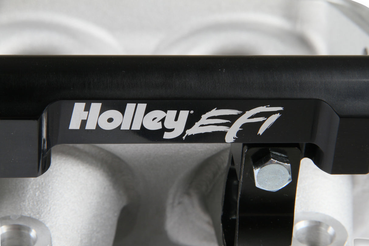 Holley 300-620 Modular Lo-Ram EFI Manifold LS1/2/6
