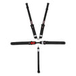 Simpson Latch and Link Bolt-In 5-Point Harness - 29063BKH1X