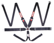 Racequip Camlock 6 Point HANS Harness Set - 746006RQP