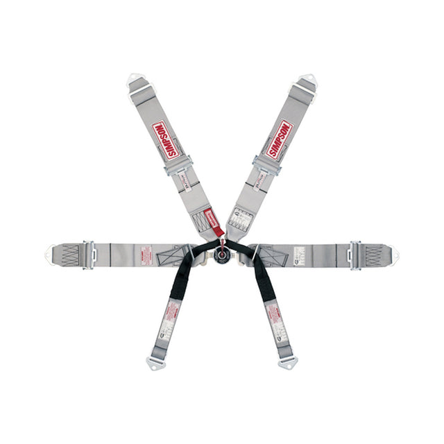 Simpson 3" Camlock Harness - 29110BKL2X