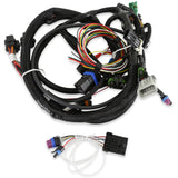 Holley 550-601 HP EFI ECU & Harness Kits