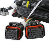 Holley 558-117 Universal MPFI Coil On Plug Main Harness