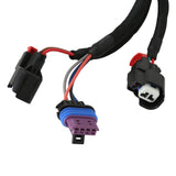 MSD Atomic TBI, ECU, Early Version - 2906