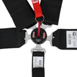 Simpson Lever Camlock Harness - 29112BK