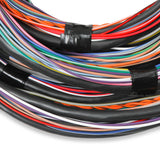 Holley 558-126 Unterminated 15' Flying Lead Main Harness