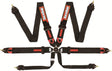 Racequip FIA 6 Point Camlock Harness Set - 851001RQP