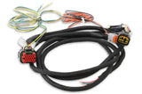 MSD Power Grid Harness - Pro 600 - 80003