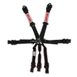Simpson Latch & Link Harness 2" Double Pull down SFI 16.1 - 12LD7WC