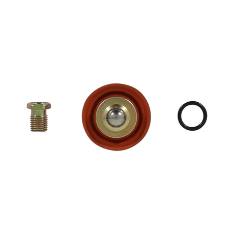 AEM Adjustable Fuel Pressure Regulator Rebuild Kit - 25-392