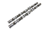 Kelford Cams 294/302 | Barra BA FG Falcon - 218-SP