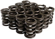 Comp Cams Single Valve Spring with Damper - CO26911-16 CO26911-16