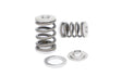Kelford Cams RB25DET NVCS Valve Springs - KVS25R-T