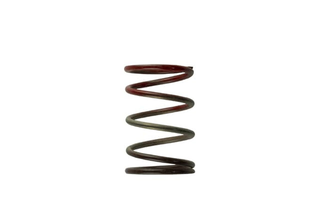 Turbosmart Gen4 / IWG WG38/40/45/50L 11PSI MIDDLE SPRING - BROWN/RED - TS-0505-2004